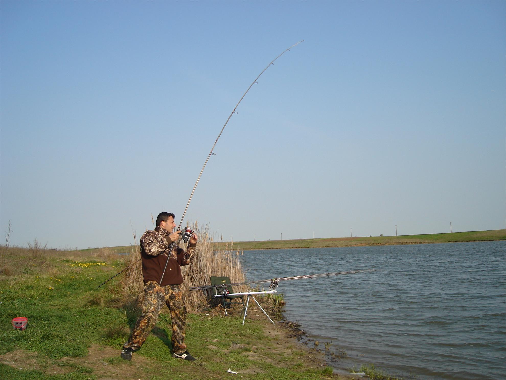 Hobaia - dsc01711.JPG